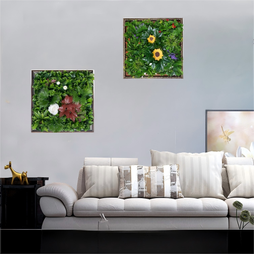 Photo frame decoration plant wall
