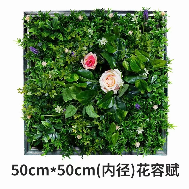Photo frame decoration plant wall