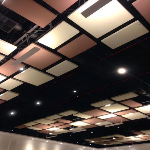 Roof acoustic absorber